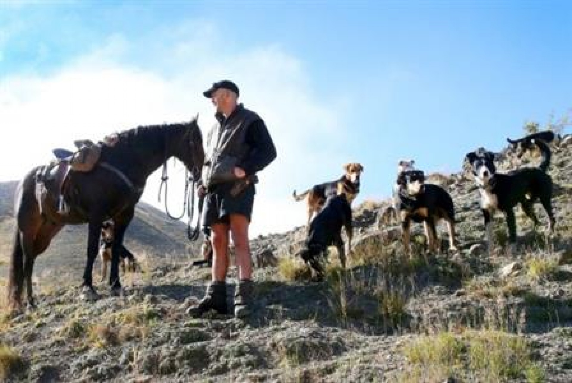 Hanmer Springs Southern Sheep Stations