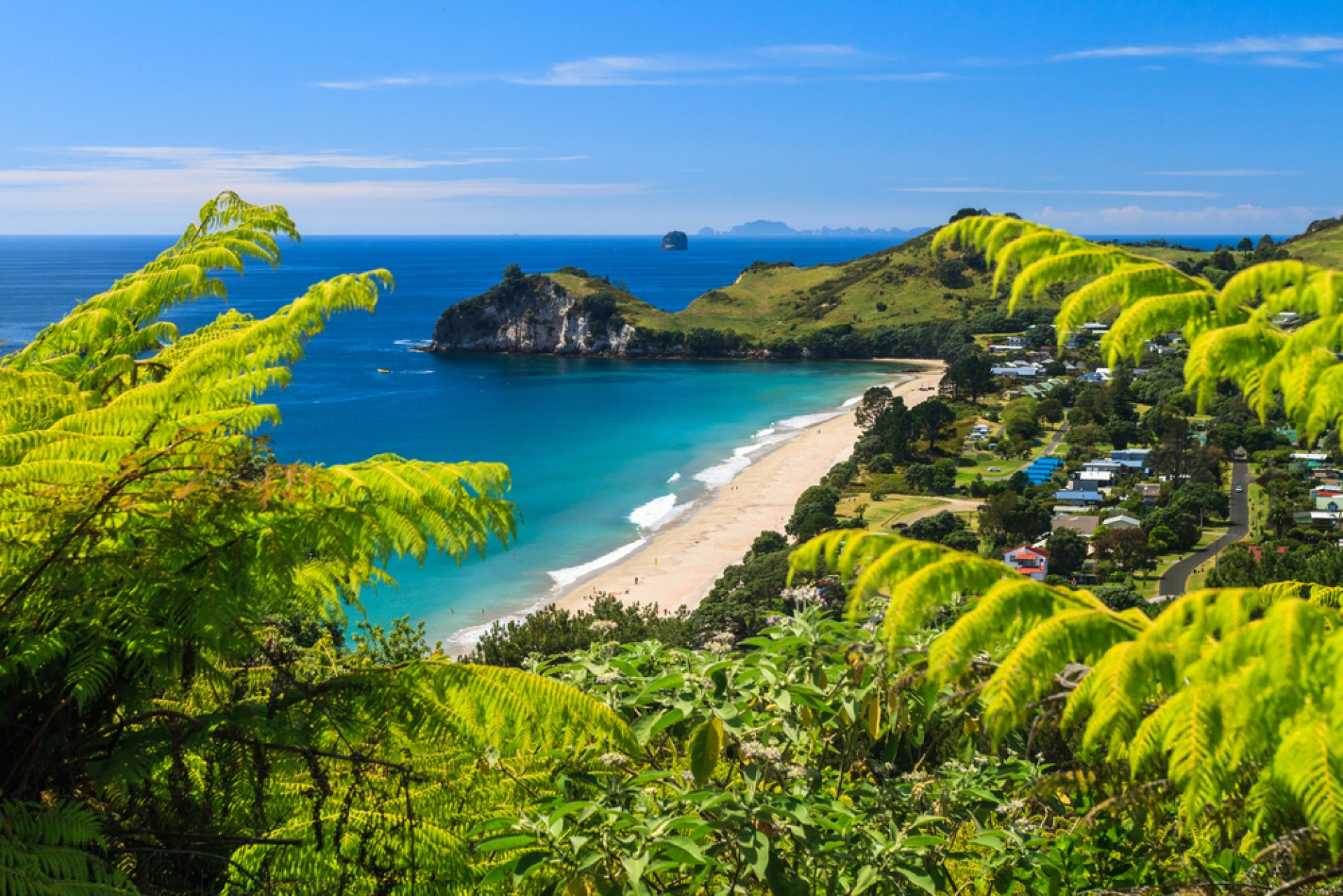 Northern Coromandel Secluded Secrets