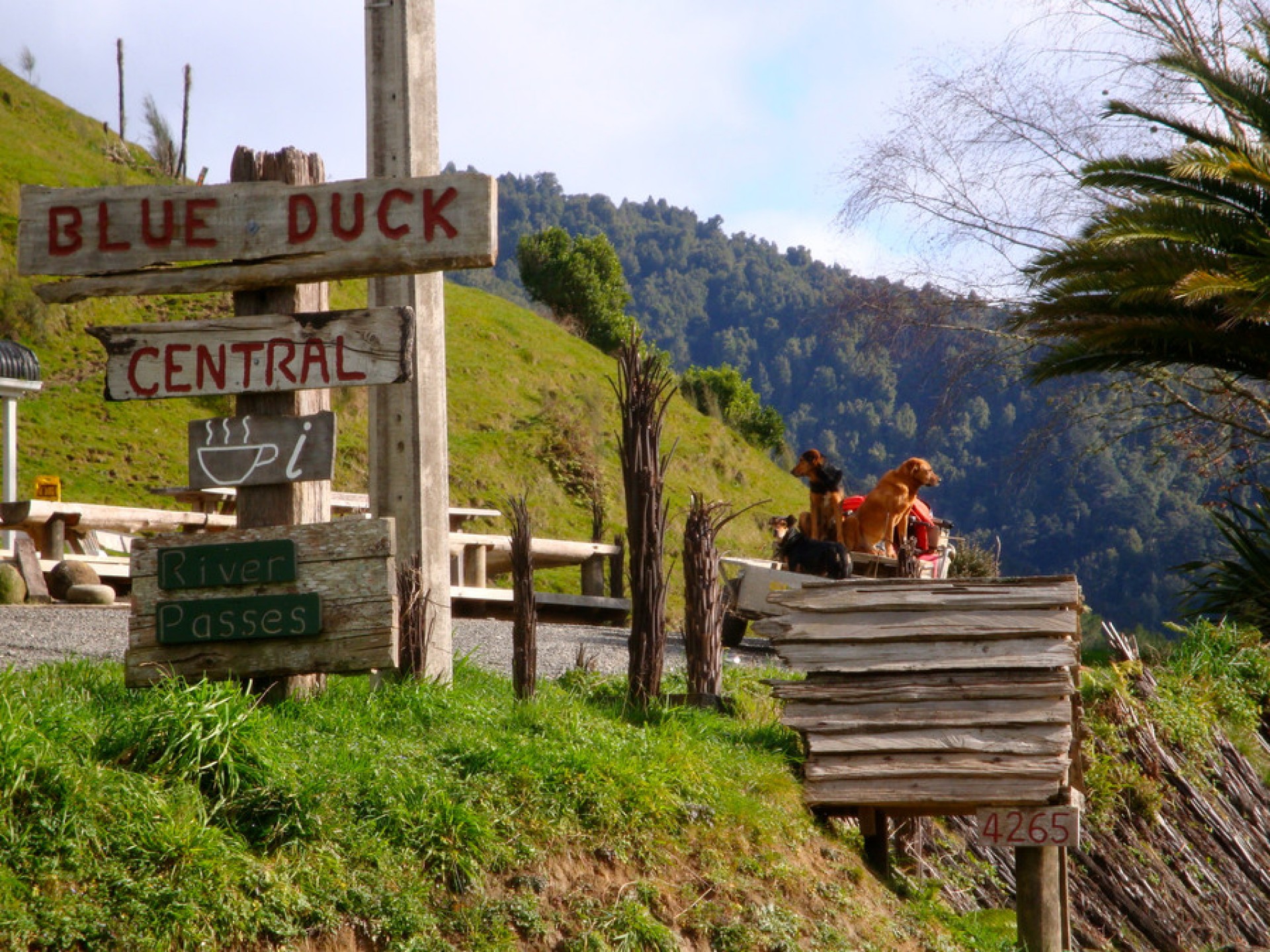 The Hidden Wonders of Our Central North Island Canyon Country