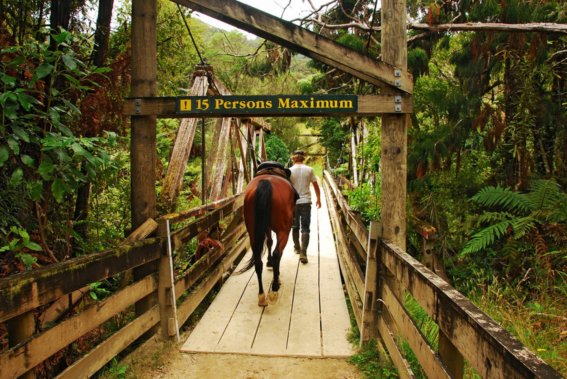 The Hidden Wonders of Our Central North Island Canyon Country