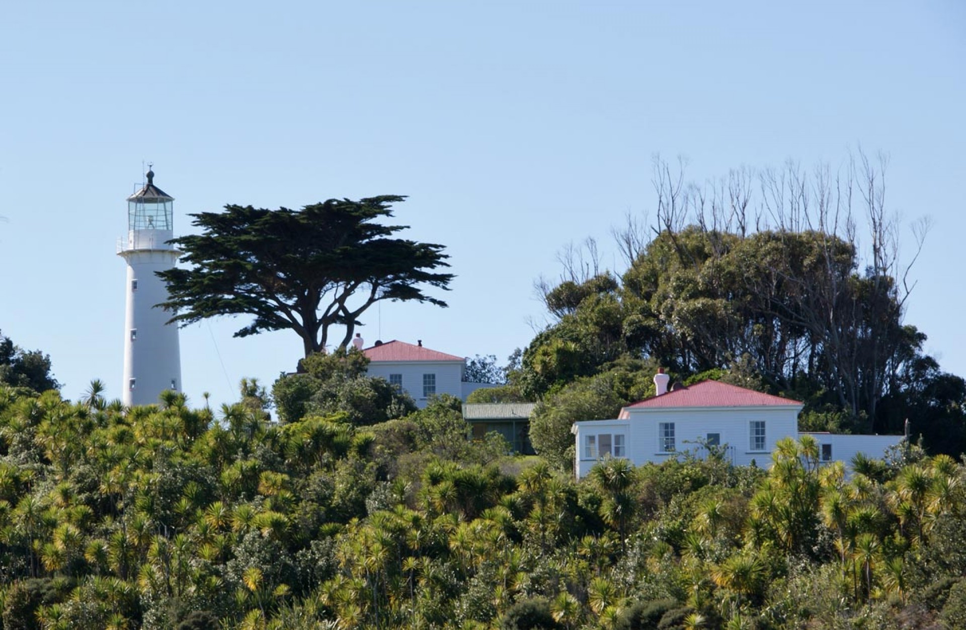 Tiritiri Matangi