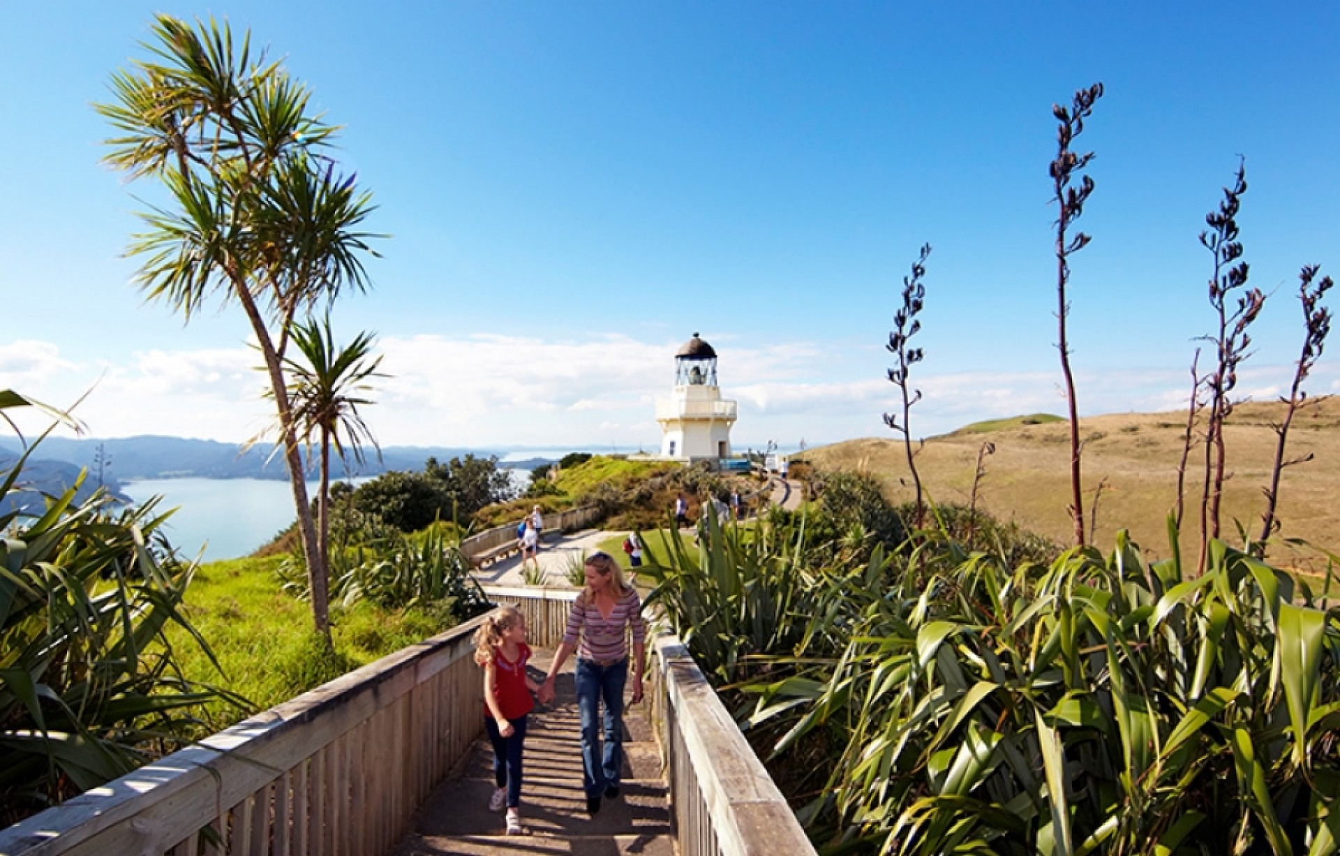 Awhitu Heritage & Steam Train Luxury Escape at Castaways Oceanview Resort