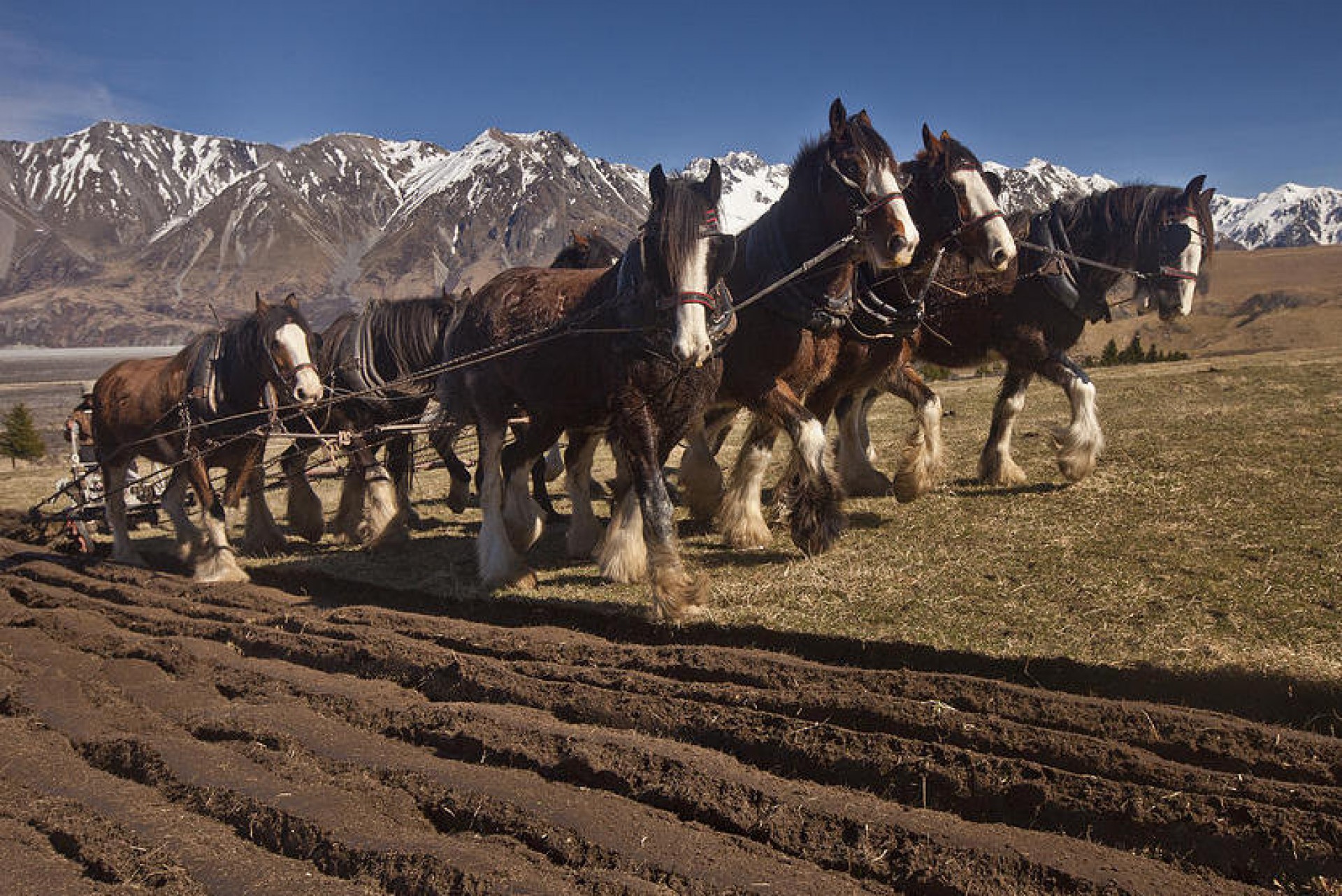 Canterbury's Iconic High Country River Runs