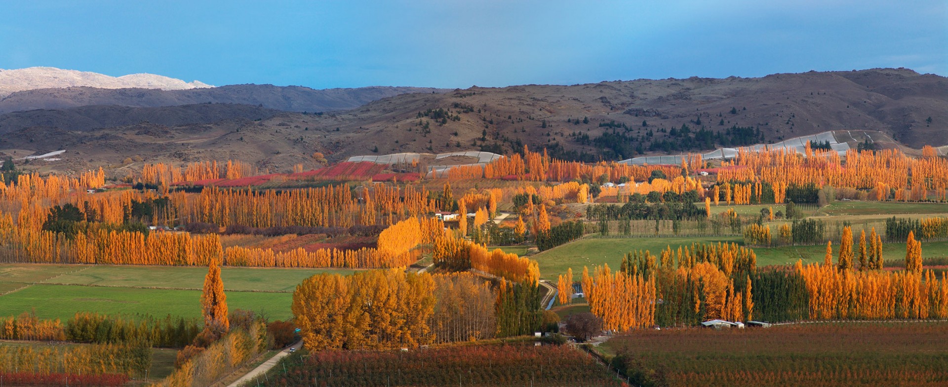 Autumn In Queenstown