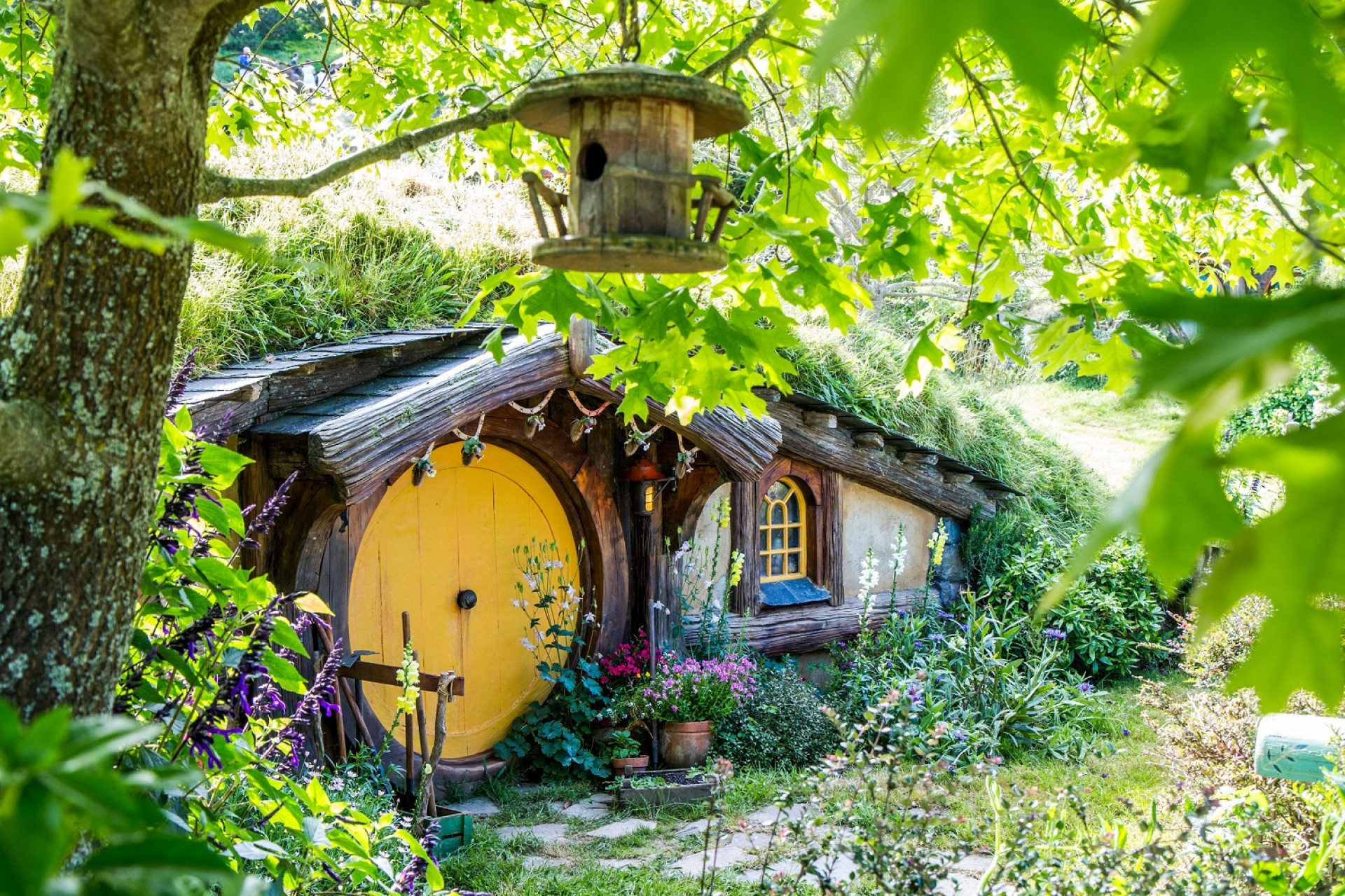 Travel West to Hobbiton and Experience Shire Enjoyment