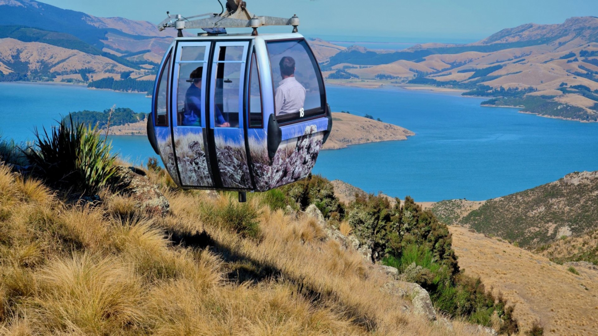 Christchurch & Akaroa - Stay and Play