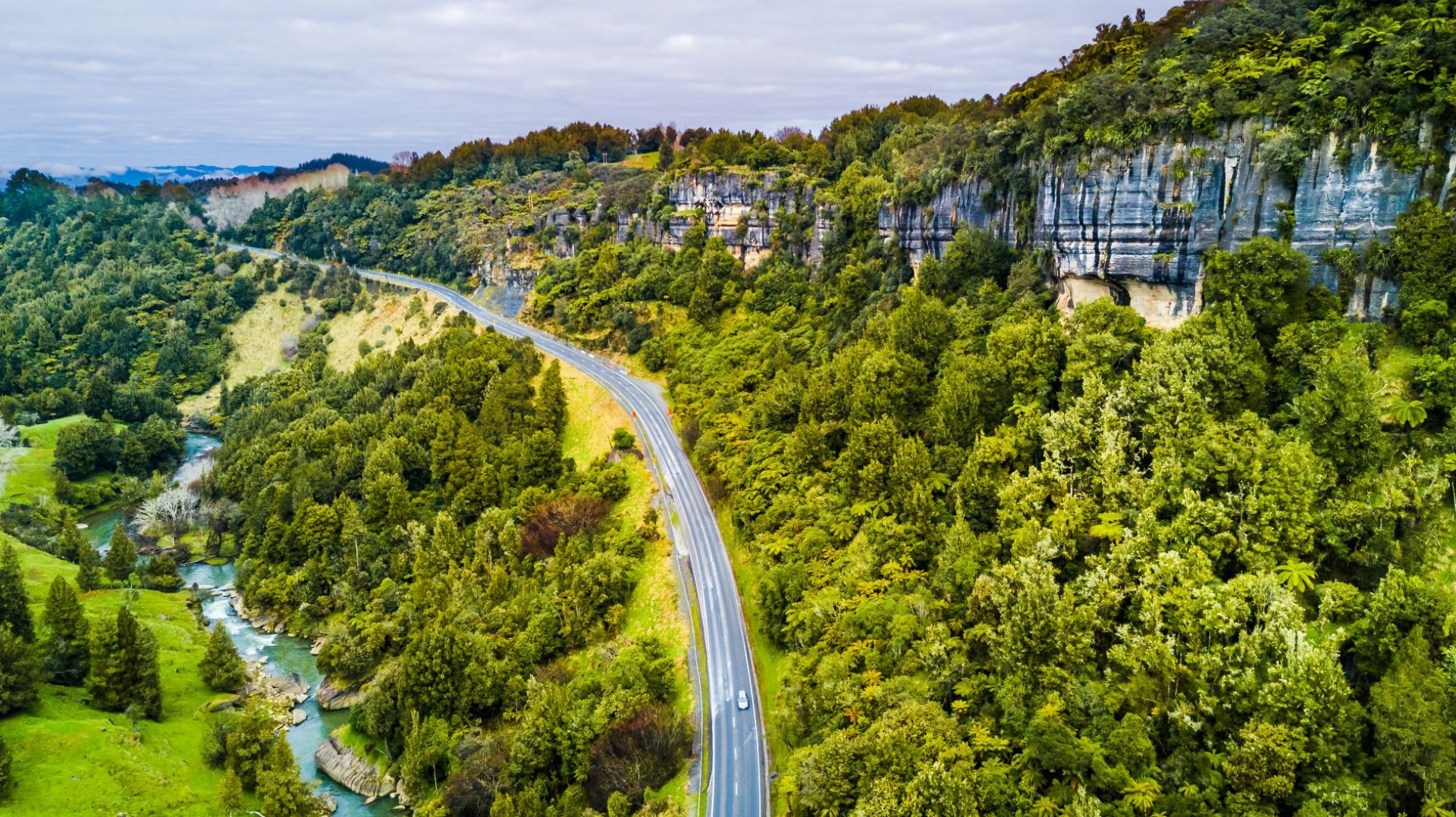 The Waikato West Coast Wilderness      