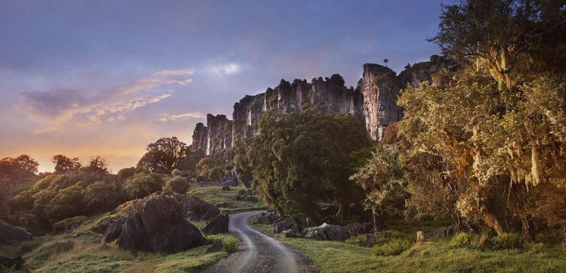 The Waikato West Coast Wilderness