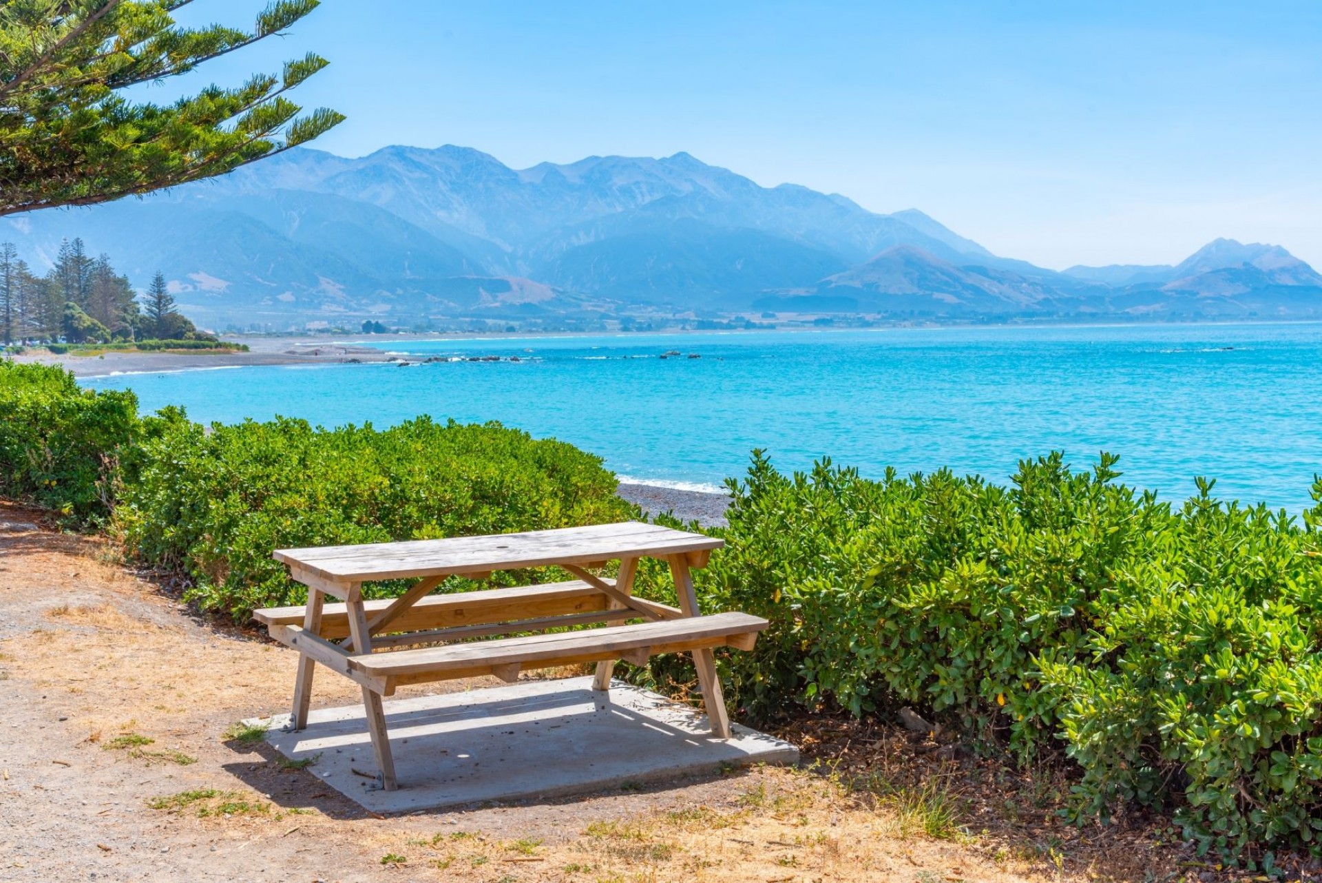  Welcome Back Kaikoura - Coastal Pacific By Rail 