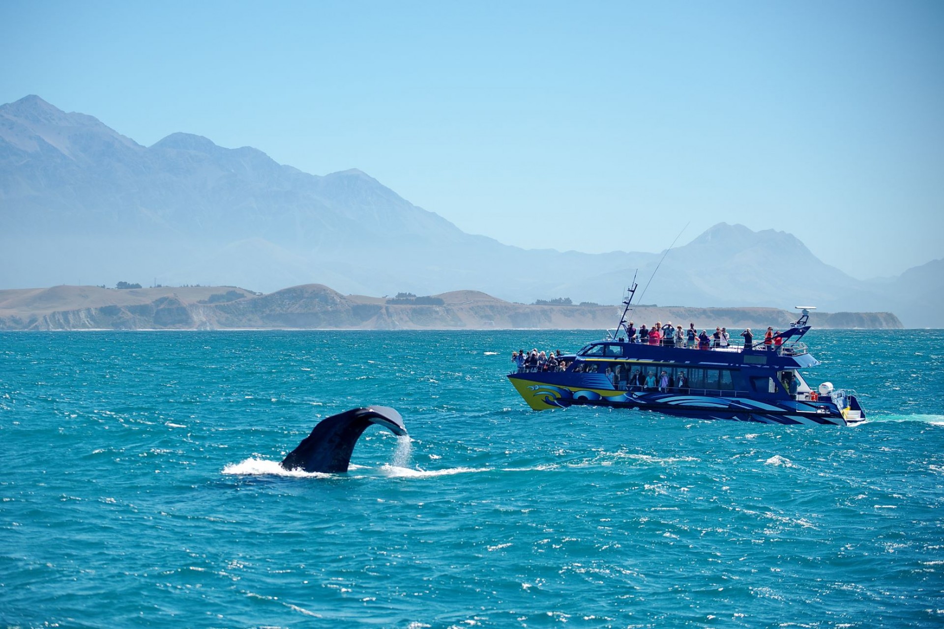  Welcome Back Kaikoura - Coastal Pacific By Rail 