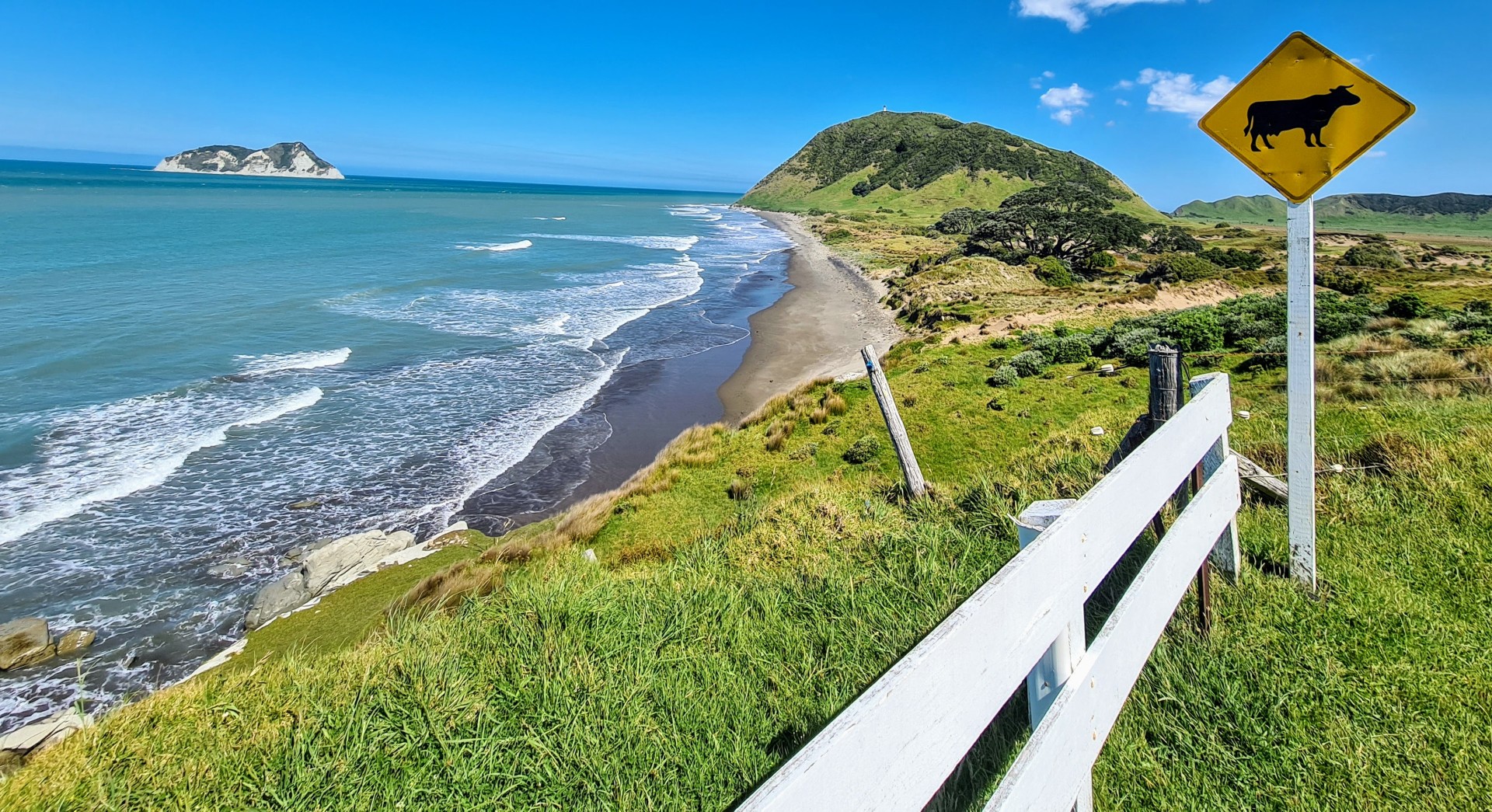 The Pacific East Coast Highway Including Lake Waikaremoana