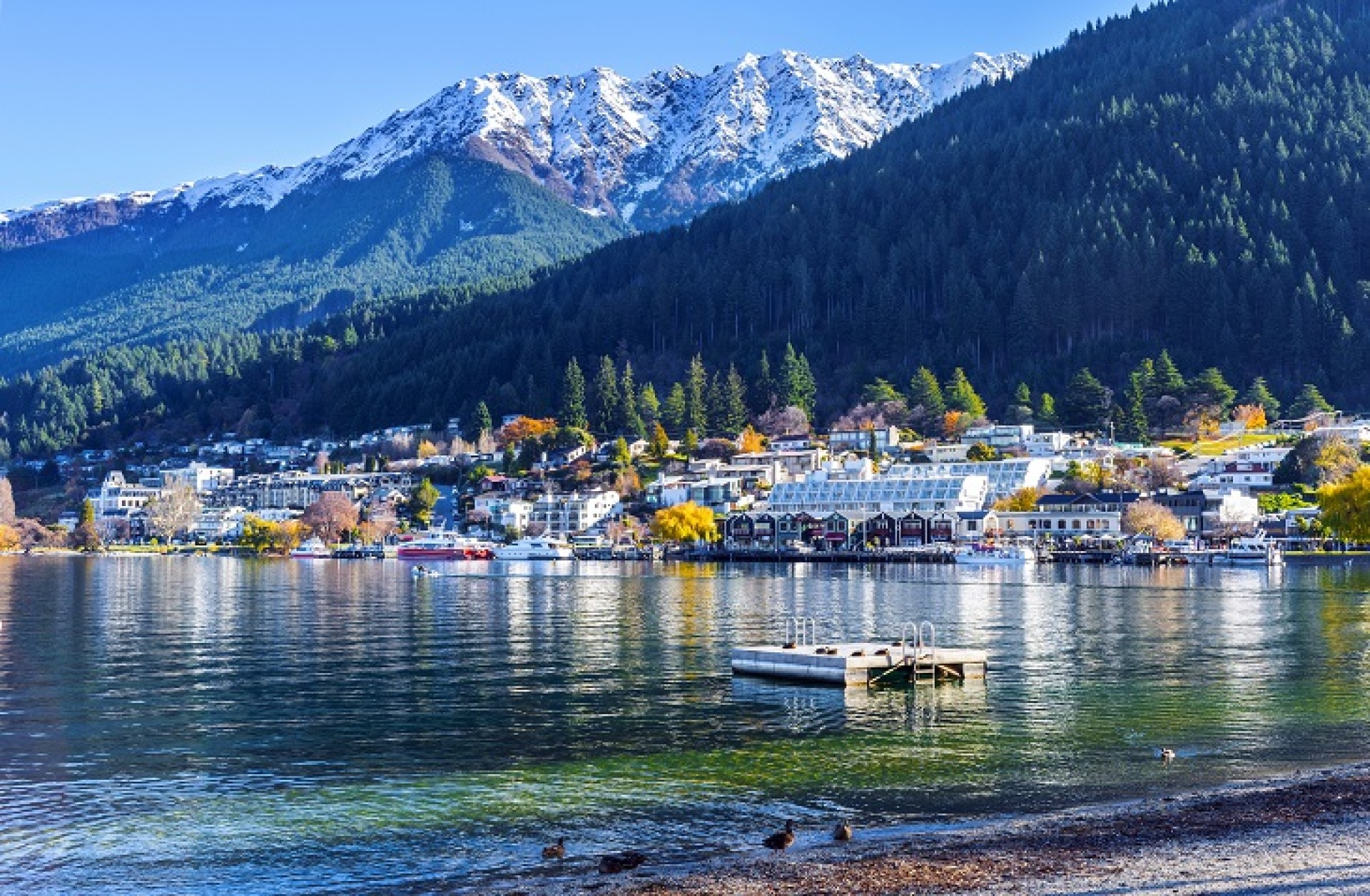 Queenstown Autumn Colours 